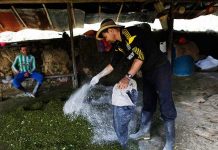 Destruyen 27 laboratorios de coca en Colombia