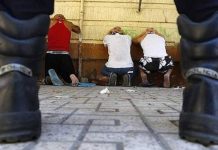 Latinoamérica analizará lucha contra crimen organizado