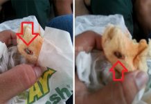 Foto viral de submarino con su ingrediente extra