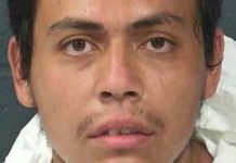 estados unidos, decapitacion, cabeza, asesinato,