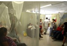 Se elevan a 10 las muertes por dengue en Paraguay