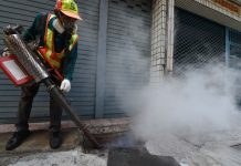 Brasil registró 839 muertes por Dengue en 2015