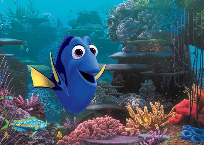 Dory