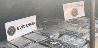 honduras, san pedro sula, incautacion, droga, banda criminal,