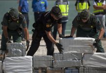 Detenida en España red que introducía cocaína en mudanzas