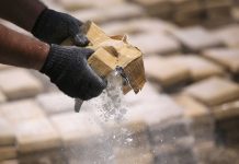 Bélgica incauta tres toneladas de cocaína provenientes de Colombia