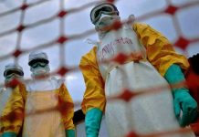 OMS pone fin a «emergencia internacional» por epidemia de Ébola