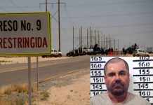 «El Chapo» se está quedando «loco» y «calvo»