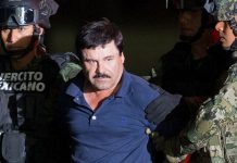 Anuncian fecha para audiencia sobre extradición de "El Chapo"