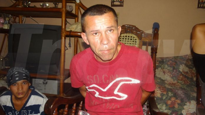 El-Venado