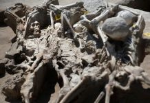 Esqueletos maniatados revelan intrigas en la antigua Grecia