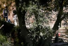 Italia interroga a detenido por muerte de estudiante de EEUU