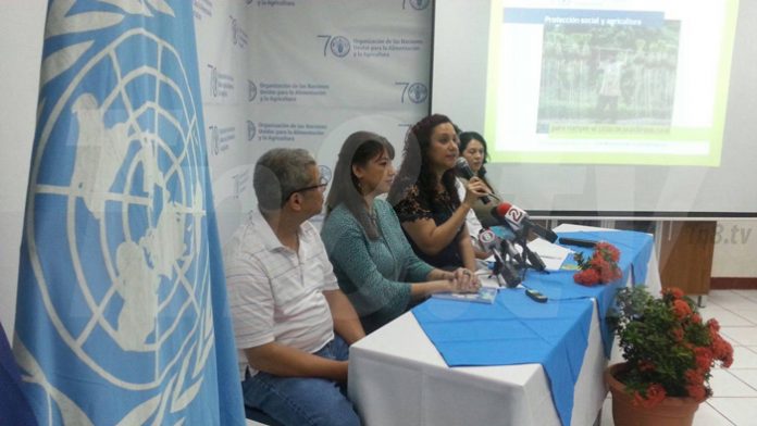 FAO-Nicaragua