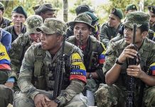 Colombia: 500 observadores de ONU verificarán paz con las FARC