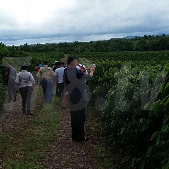 Finca-Nueva-Guinea