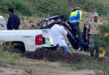 México investiga hallazgo de 50 perros en fosa clandestina