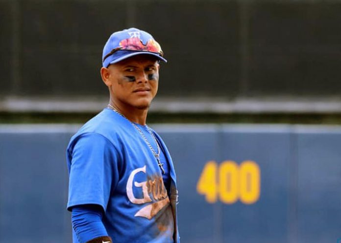 Granada pomares, tiburones, granada,