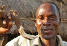 Padres pagan para que le quiten la virginidad a sus hijas en Malawi