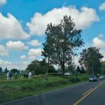 Encuentran cuerpo de hombre en un cafetal en Heredia, Costa Rica costa rica, heredia, cafetal, hallazgo, cuerpo, hombre, golpes,