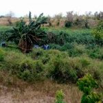 honduras, autoridades, cuerpo, reconocimiento, fallecidos, hombres,