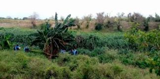 honduras, autoridades, cuerpo, reconocimiento, fallecidos, hombres,