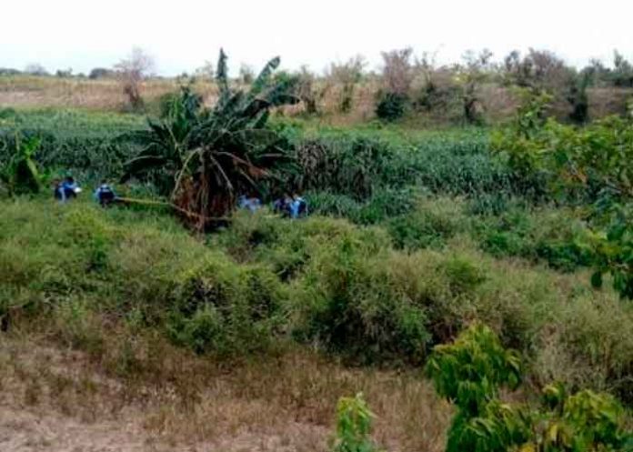 Honduras honduras, autoridades, cuerpo, reconocimiento, fallecidos, hombres,