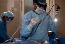Fallece paciente diagnosticado con ‘hongo negro’ en México mexico, primer paciente, hongo negro, fallecimiento, reporte, autoridades, salud,