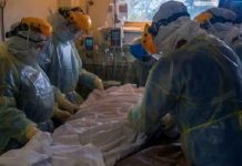 Detectan en Uruguay más casos de ‘hongo negro’ letal uruguay, confirmacion, casos, hongo negro, enfermedad, salud, diagnostico,