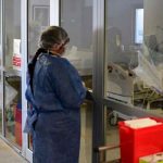 argentina, muerte, primer, victima, hongo negro,