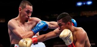 Chocolatito, gallo, boxeo, revancha, hearn