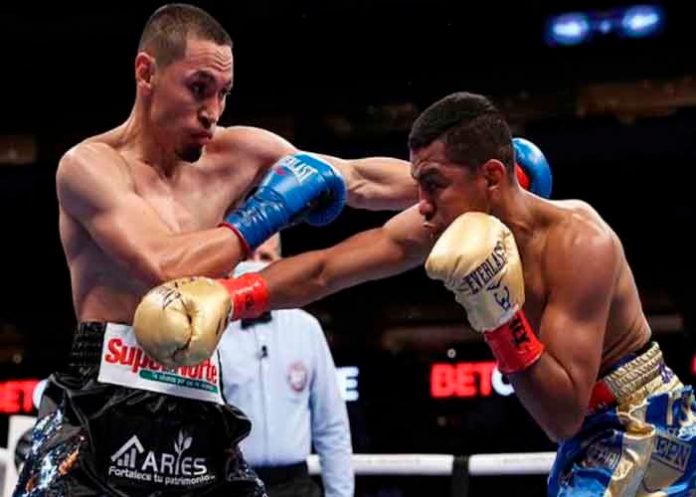 Chocolatito, gallo, boxeo, revancha, hearn