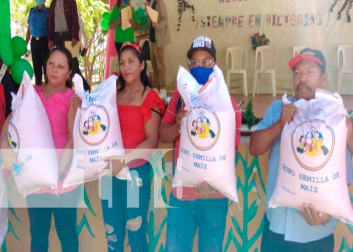 INTA3 Nicaragua, INTA, MEFCCA, bonos, Maíz, producción, protagonistas,