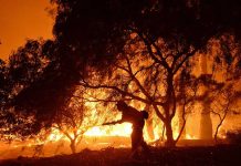Incendios forestales causan estragos en oeste de EEUU