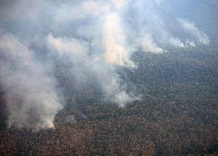 Incendio-forestal