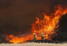Evacuados regresan a casa pero incendio continúa en California