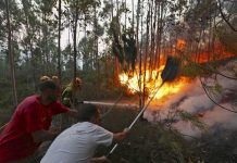 Incendio dejo sin nada a inquilinos