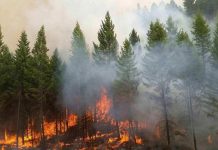 Evacúan viviendas en California ante amenaza de incendio
