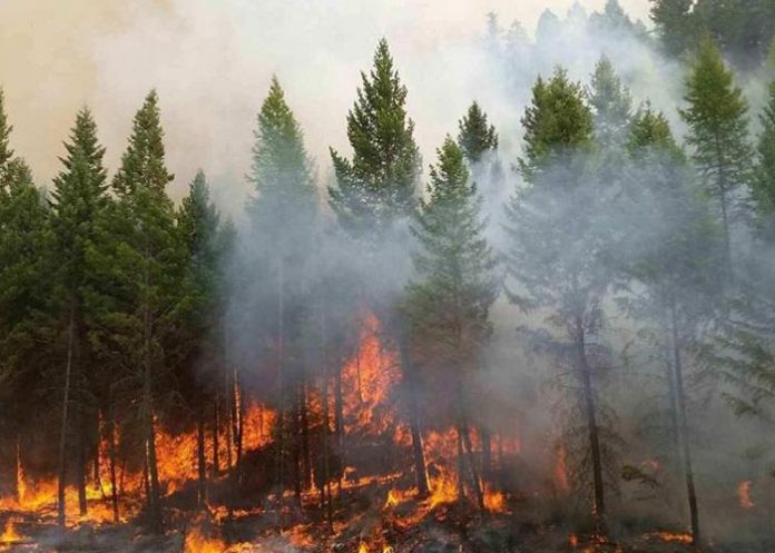 Incendio8