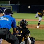 lbpn, profesional, beisbol,