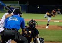 lbpn, profesional, beisbol,