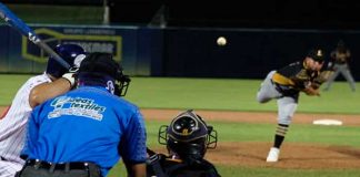 lbpn, profesional, beisbol,