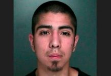 25 años de cárcel le caen a líder de pandilla MS-13 en Nueva York estados unidos, nueva york, lider, banda criminal, sentencia, carcel,