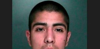 estados unidos, nueva york, lider, banda criminal, sentencia, carcel,