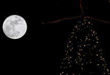 EEUU: Empresa obtiene permiso para volar a la Luna