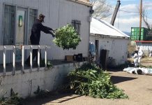 Allanamientos dejan decenas de arrestados en Denver