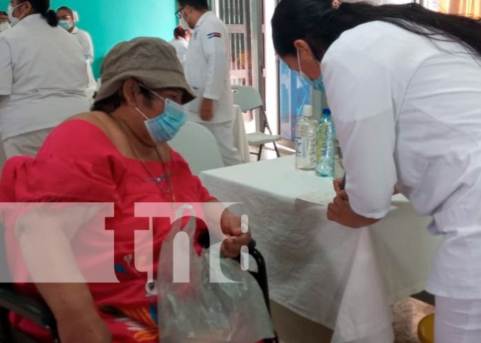 nicaragua, vacunación, minsa, covid, Covishield,