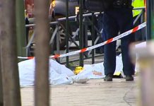 Crimen brutal contra tres latinos en Madrid
