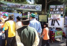Bolivia cerca de erradicar la malaria