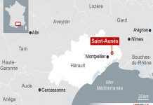 Unas 10 personas «gravemente heridas» tras accidente de tren en Francia