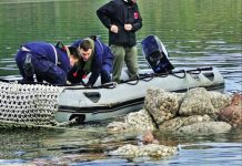 Mariscos contaminados con marea roja varan en isla de Chile